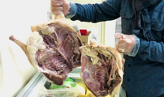 Ardahan’da kaz fiyatlarına tepki: Kış sofrasının vazgeçilmezi cep yakıyor