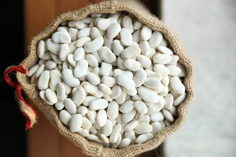 Erzincan'da geliştirilen fasulyeler genetik miras olarak korunacak